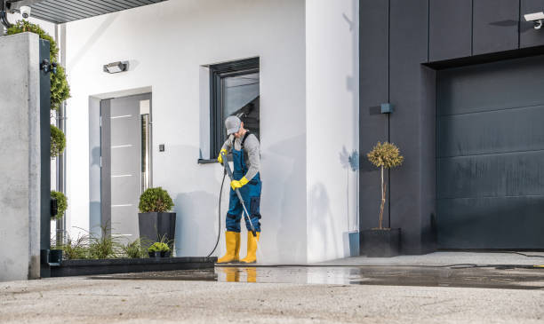 Best Dumpster Area Cleaning  in University At Buffalo, NY